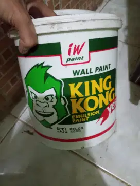cat kingkong warna melon hijau nego