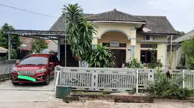 Dijual Rumah asri dan taman luas plus kontrakan di berok koba bangka
