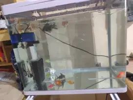 Di jual Aquarium lengkung ukuran panjang 56cm tinggi 47 cm lebar 35 cm