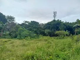 Include Fasum Jalan Cor Beton 5 meter, Kavling SHM area Cileungsi