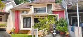 Dikontrakkan rumah/ tahun