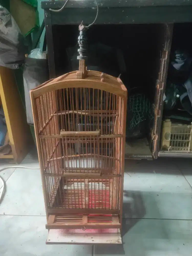 Kandang burcil asik di BSD