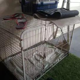 Dijual cepat kandang besar murah di gading serpong