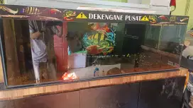 Aquarium panjang 150 cm