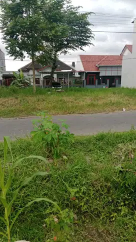 Murah Tanah Pekarangan di jakal 10