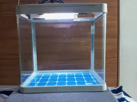 Akuarium Mini Second Masih Bagus – Lengkap Lampu & Filter!