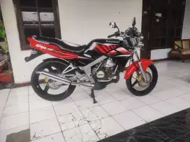 Ninja ss merah zebra asli