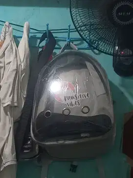 Jual Tas kucing