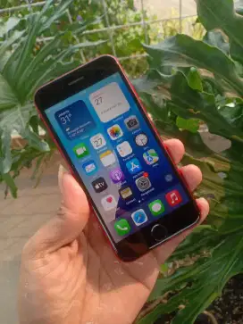 iPhone SE 2 64 GB iBox mulus