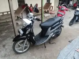Fino premium 2015