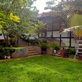 Premium Area With Land Size 1600 Meters Good For Invest