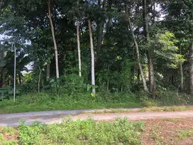 Tanah Kos Premium UII-SHM
