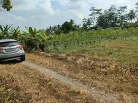 turun harga jual tanah luas 557m2 dibarat jl palagan km 15 view sawah