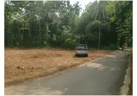 150 Juta Tanah Di Jalan Magelang Dekat Pasar Sleman