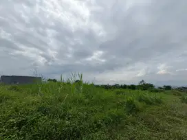Tanah Murah Landungsari, Pilihan Tepat Dekat Pondok Thursina