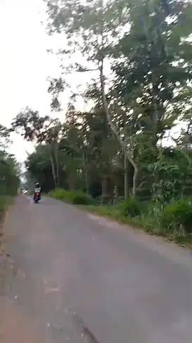 TANAH LOKASI DENGKOL SINGOSARI MALANG
