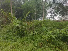 Delta View – Kavling Luas, Dekat AEON Mall & Gerbang Toll