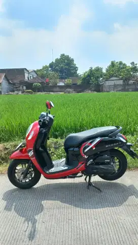 SCOOPY Tahun 2024