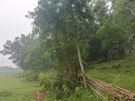 Kavling Siap Bangun di Jl. Swadaya – Bojong Kulur, Bogor Harga Terjang
