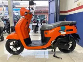 Fazio neo2023 exlusive