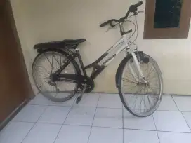 Sepeda polygon nego