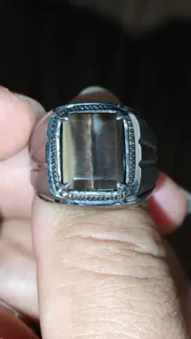 Batu Fosil Galih Kelor ringonel 9,5