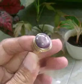 batu ruby daging star 6