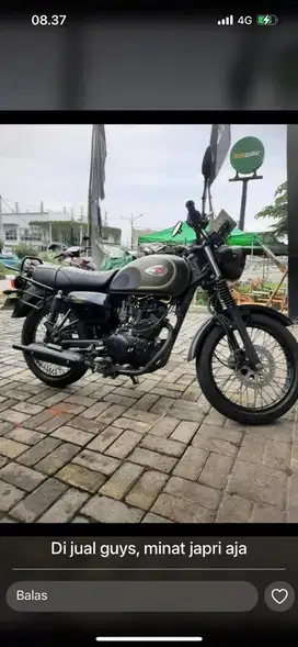 Kawasaki W175 green army