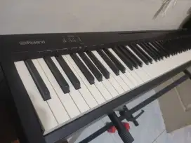 Roland type FP-10