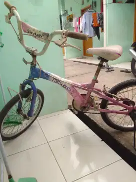Sepeda anak wimcycle 16'