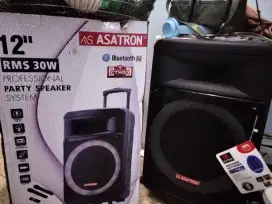 Speaker asatron 12in