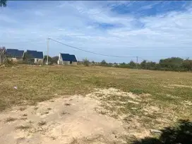 Tanah Bagan Pete Kota Jambi SHM Siap AJB