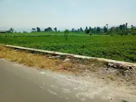 Jual Tanah Murah Pinggir jalan desa Area Cimaung puntang