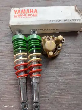 Shok belakang RK king dan pala babi RK king