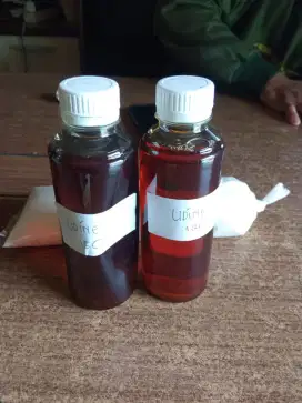 minyak ikan untuk pakan ternak
