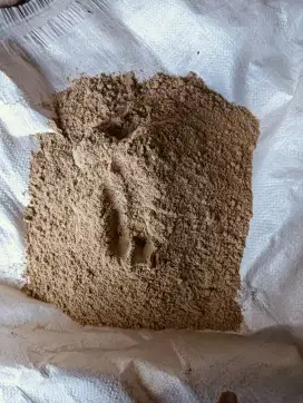 tepung bulu ayam