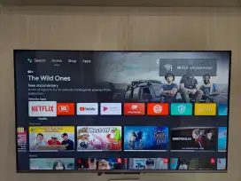 TV TCL 55 inch smart led type 55A10