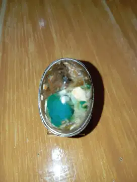 Bacan albino Jumbo, langka