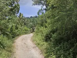 Tanah murah di Kuta Mandalika Lombok. Cocok untuk villa