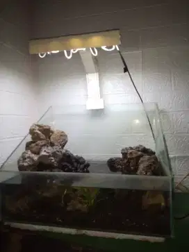 Paludarium 30x40cm