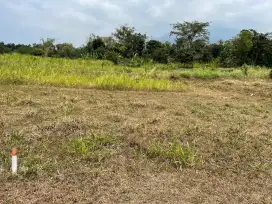 Dijual Tanah Daerah Dayurejo Prigen Pasuruan