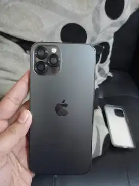 IPHONE 12 PRO BEACUKAI