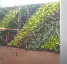 Pembuatan Taman Vertical Garden