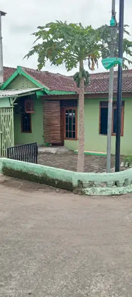 Rumah kontrakan