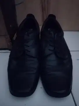 Sepatu kulit Asli Pria