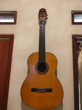 C315 ORIGINAL MULUS