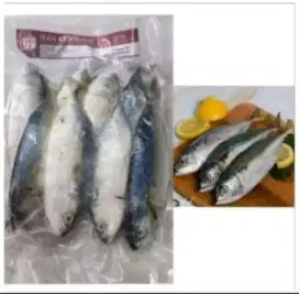 Ikan kembung 1kg frozen