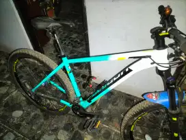 Polygon xtrada 5 LE