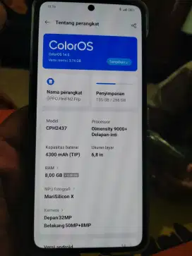 Oppo find n2 flip