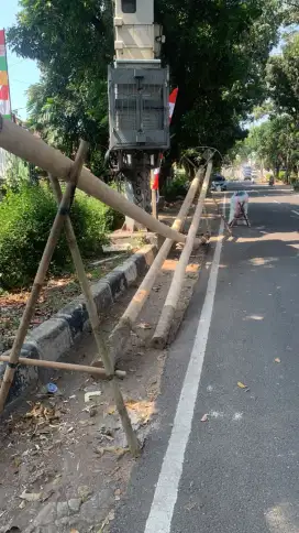 Pinang 17 Agustus